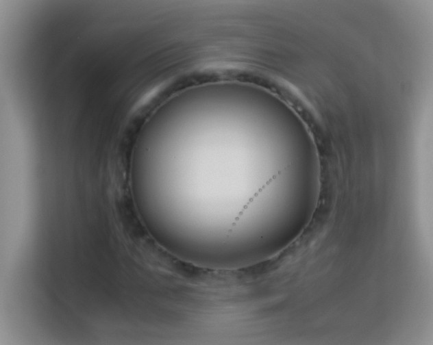 X0000114190871200910091230