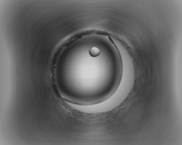 X0000114190872200910091230