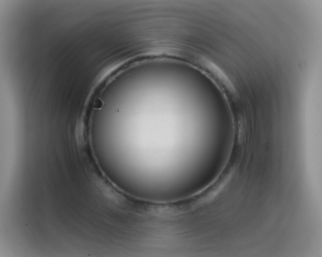 X0000114190876200910091230