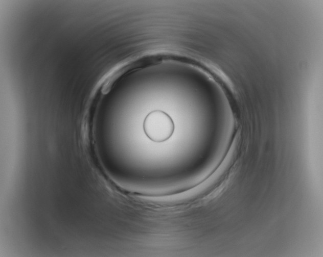 X0000114190877200910091230
