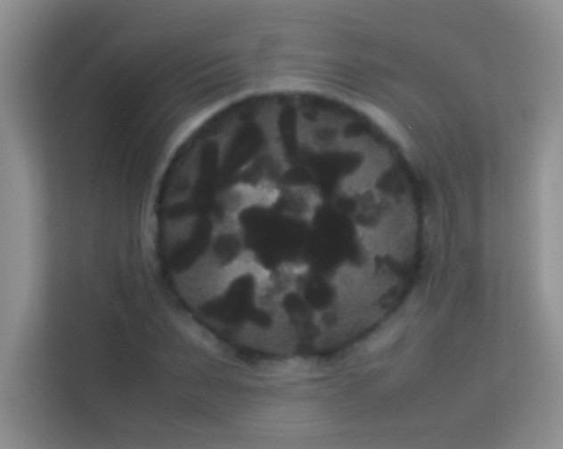 X0000114190879200910091230