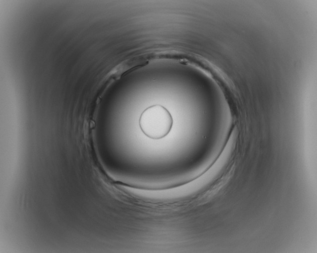 X0000114190881200910091230