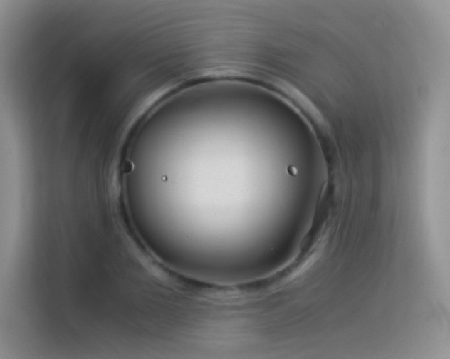 X0000114190885200910091230