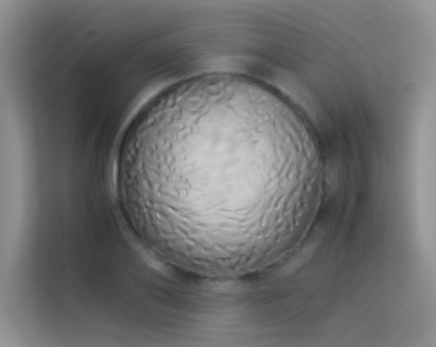 X0000114190886200910091230