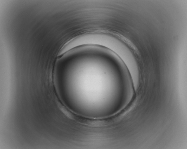 X0000114190889200910091230