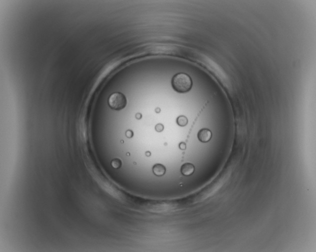 X0000114190891200910091230