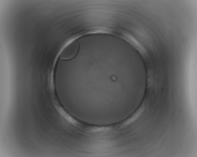 X0000114190892200910091230