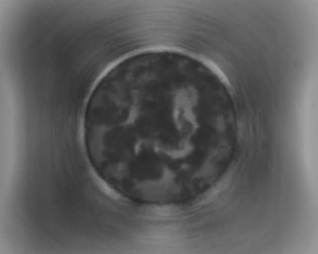 X0000114190895200910091230