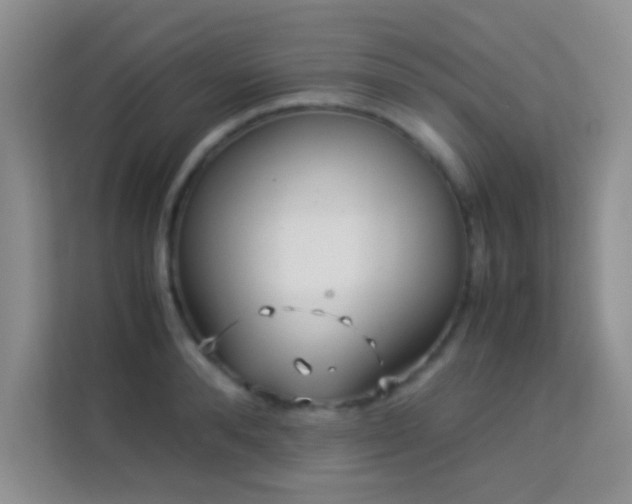 X0000114190896200910091230