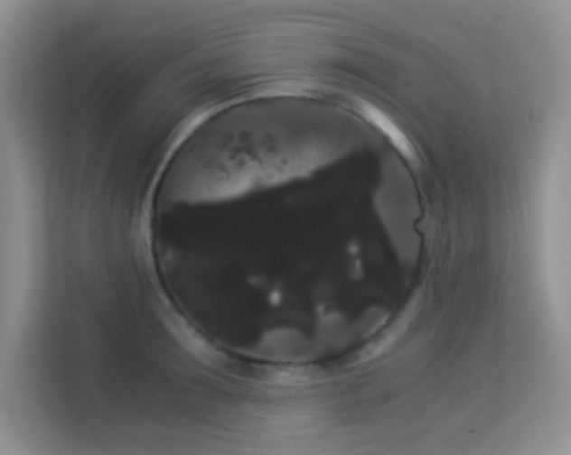 X0000114190899200910091230
