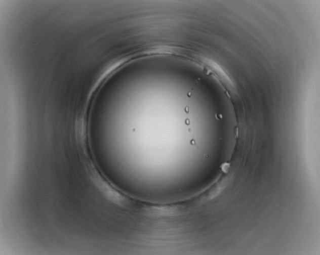 X0000114190900200910091230