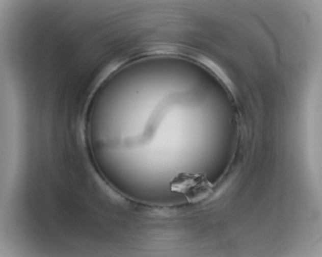 X0000114190901200910091230