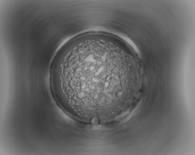 X0000114190903200910091230