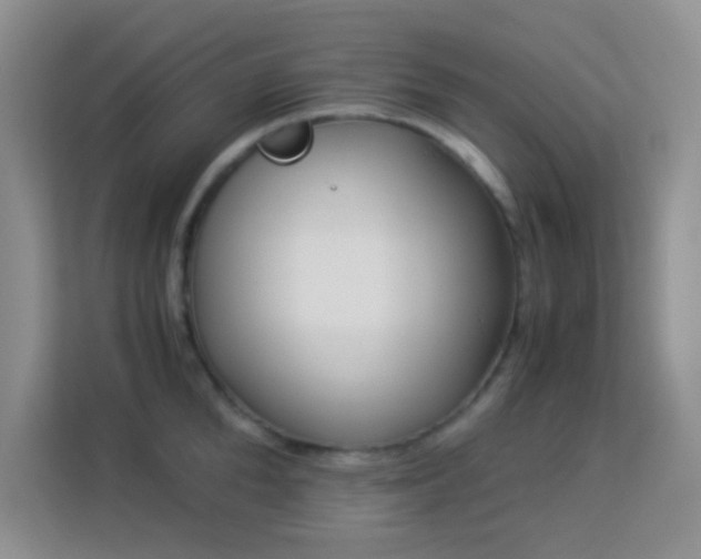 X0000114190904200910091230