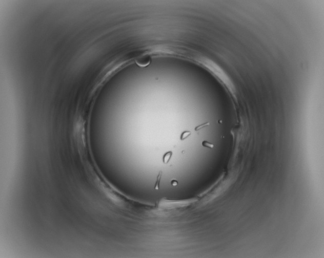 X0000114190906200910091229