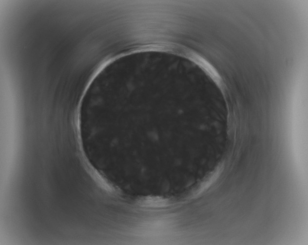 X0000114190907200910091229