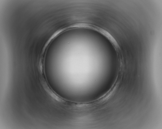 X0000114190908200910091229