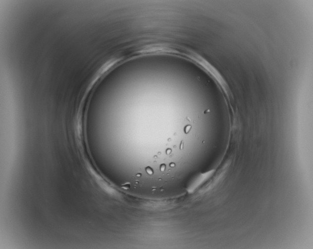 X0000114190909200910091229