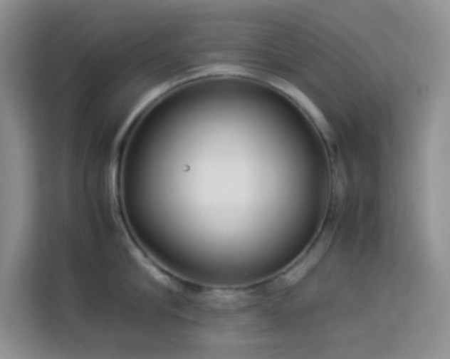 X0000114190910200910091229