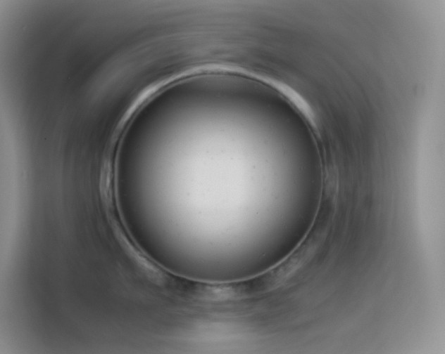 X0000114190911200910091229