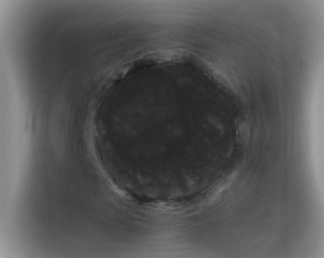 X0000114190913200910091229