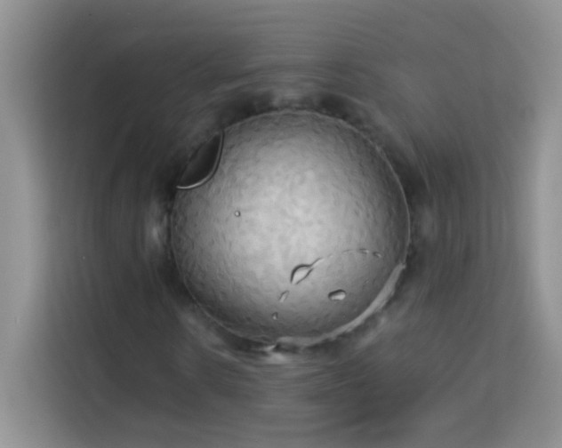 X0000114190914200910091229