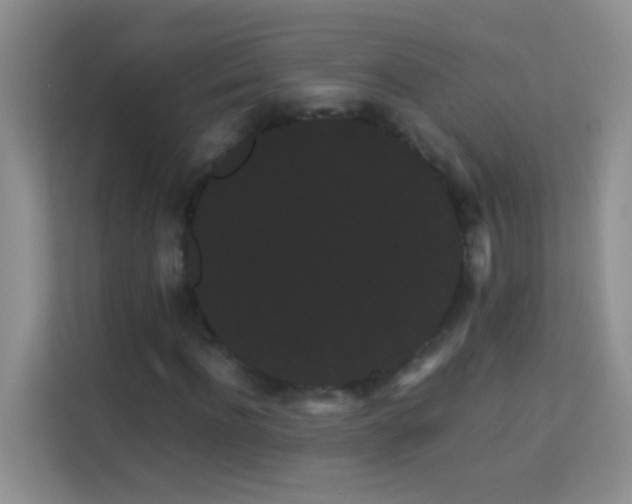 X0000114190916200910091229