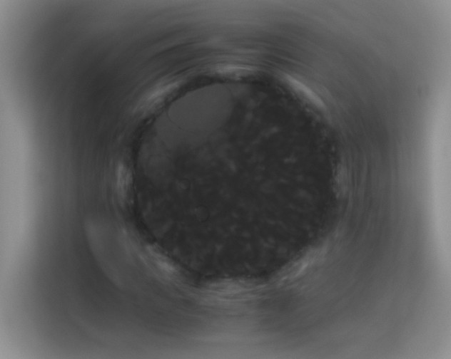 X0000114190917200910091229
