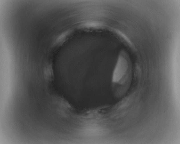 X0000114190918200910091229
