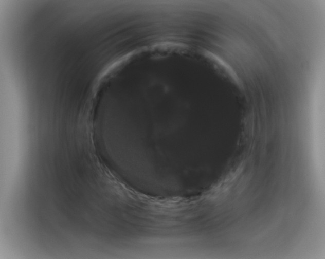 X0000114190919200910091229