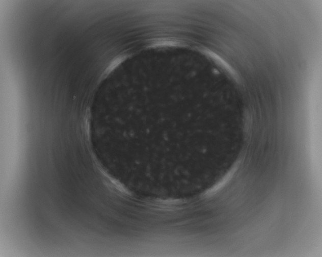 X0000114190921200910091229