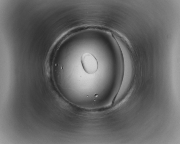 X0000114190925200910091229