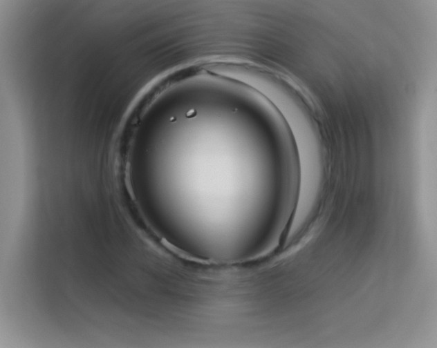 X0000114190926200910091229