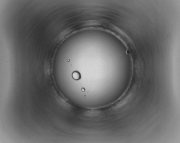 X0000114190929200910091229