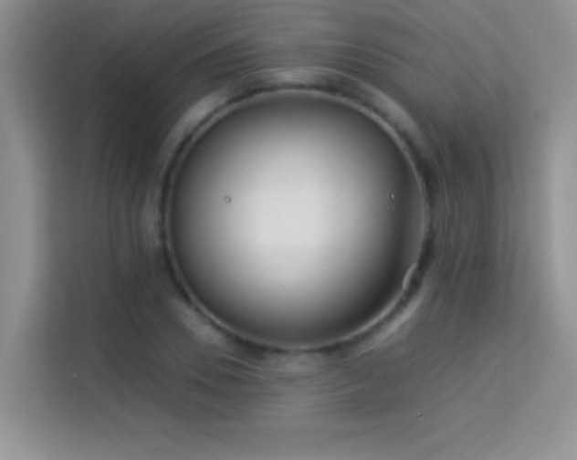 X0000114190930200910091229