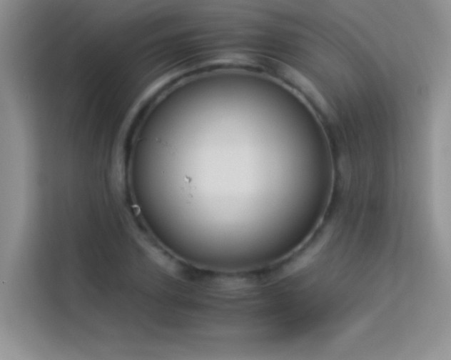 X0000114190931200910091229
