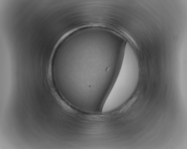 X0000114190932200910091229