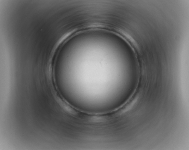 X0000114190933200910091229