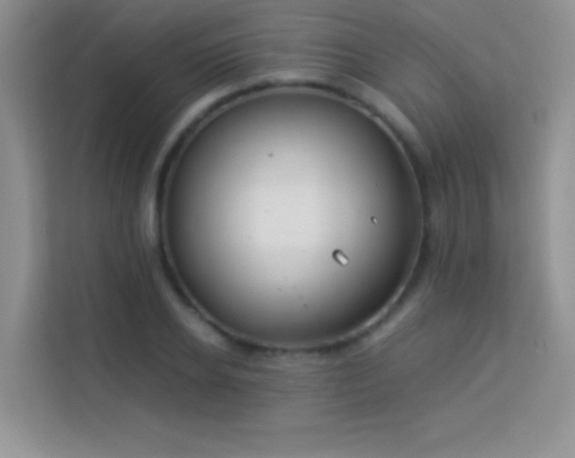 X0000114190934200910091229