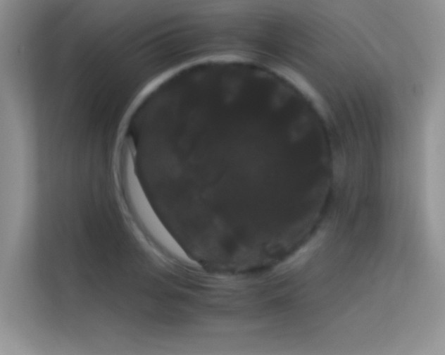 X0000114190935200910091229