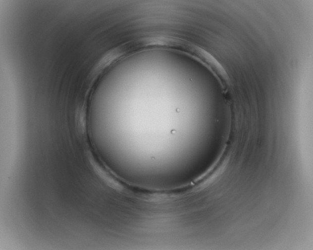 X0000114190938200910091229