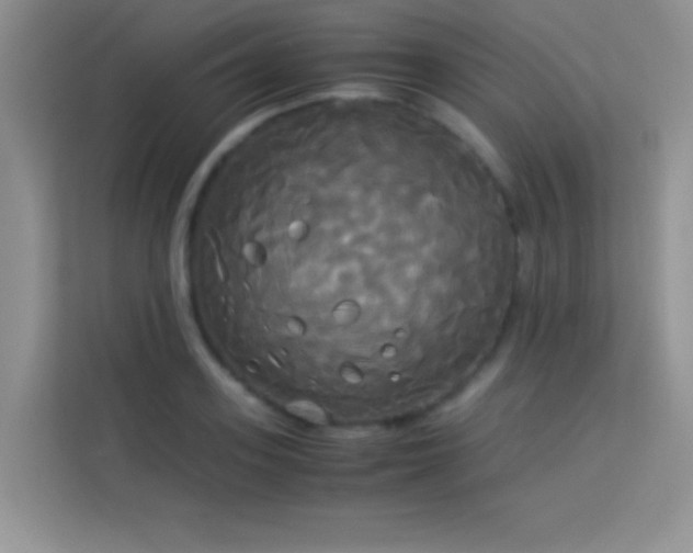 X0000114190939200910091229