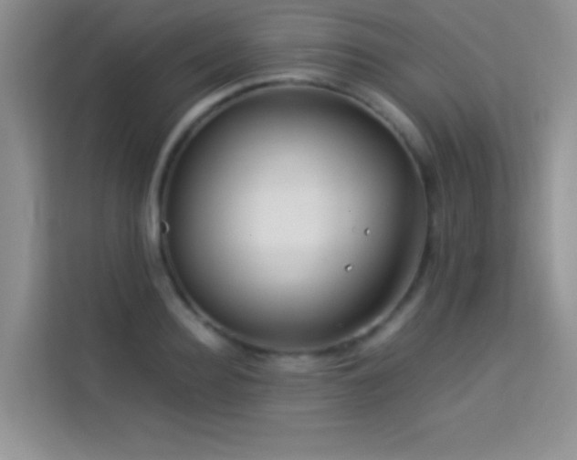 X0000114190940200910091229