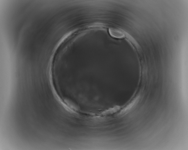 X0000114190941200910091229