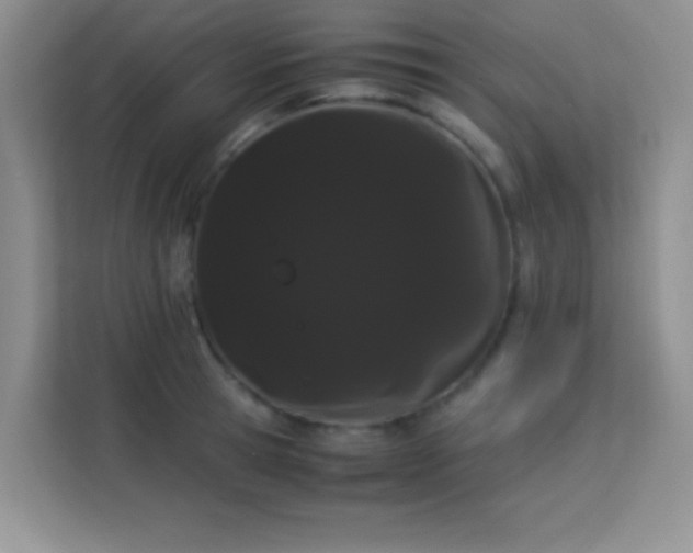 X0000114190945200910091229