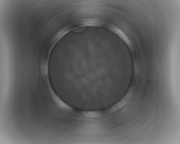 X0000114190946200910091229