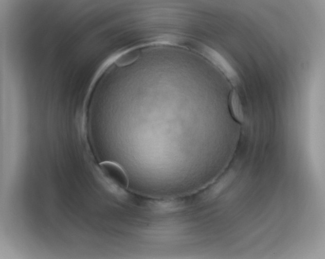 X0000114190948200910091229