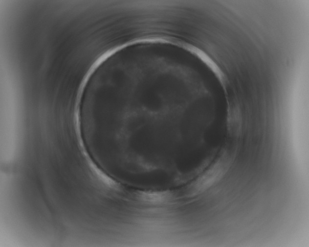 X0000114190951200910091229