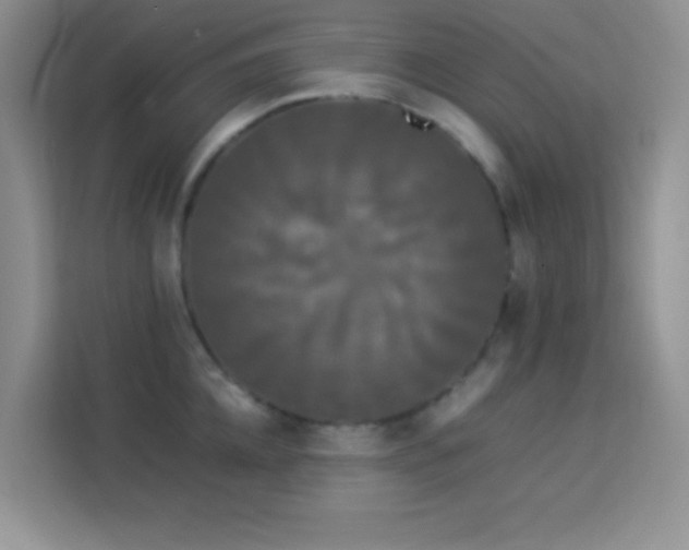 X0000114190952200910091229
