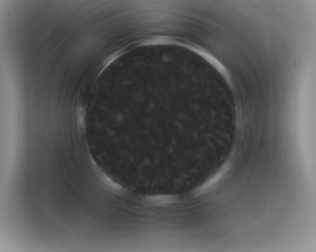X0000114190953200910091229